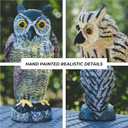 Plastic Owl Decoys [Set of 3] - Multicolor Owl Statues for Garden & Outdoors, Scare Birds Away, Realistic Design with Reflective Eyes, Weather Resistant