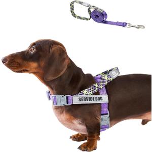 Service Dog Harness and Leash Set, No-Pull Service Dog Vest with 4 PCS Reflective Patches, Dog Vest Harness with Handle, Pet Harness for Small Medium Large Dogs in Training (Purple, S)