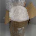 WDCOZY Ivory Twin Quit Size Bedding Sets with Pillow Sham, Lightweight Soft Bedspread Coverlet, Quilted Blanket Thin Comforter Bed Cover for All Season, 2 Pieces, 68x90 inches (Ivory (Warm Yellow Tint))