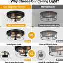 Flush Mount Ceiling Light Fixtures, 2-Light Black and Silver Ceiling Mount for Farmhouse with Seeded Glass Lampshade, Industrial Flush Mount Light Fixture for Hallway, Kitchen, Entryway and Foyer