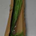 10PCS Fake Grass Filler Decor Artificial Grass Plants Outdoor Faux Plants Artificial Tall Shrubs Wheat Grass Greenery Stems UV Resistant Onion Grss For Outdoor Indoor Vase Planters Home Decor, Green