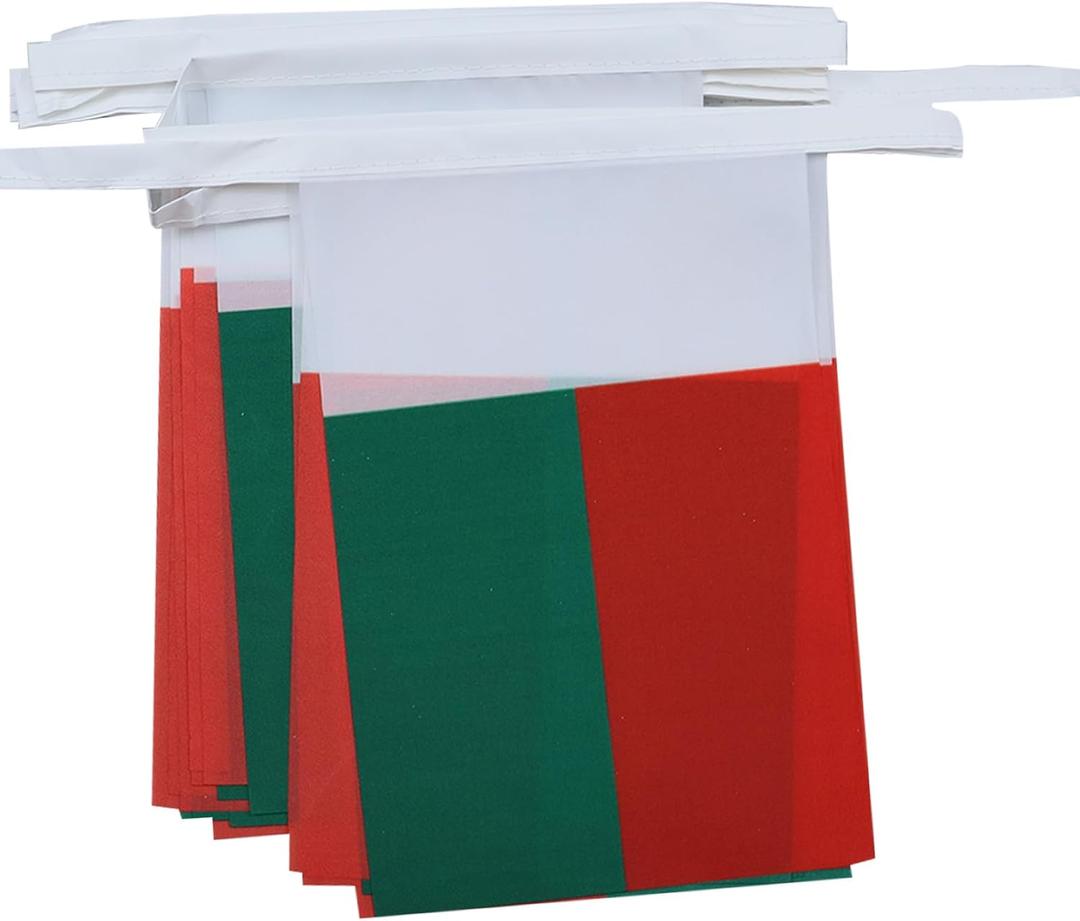 AZ FLAG Madagascar 6 meters BUNTING Flag 20 flags 9'' x 6'' - Madagascan STRING flags 15 x 21 cm