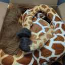 Giant Stuffed Giraffe Animal Set, 47 Inch Large Giraffe Plush Toy for Kids with Bird & Basket & Leaves & Card, Toddler Lifelike Standing Toys Stuffed Animal for Girls Boys