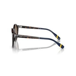 Polo PH4204U SUNGLASSES