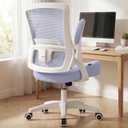 NEO CHAIR Office Desk Chair High Back Mesh Chair Adjustable Lumbar, Purple, 24 inches x 21.5 inches x 38.5 inches
