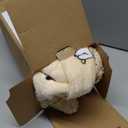 Giggling Getup Wearable Blanket Hoodie for Adults Gifts for Teen Girls Sister Women Sherpa Fleece Printed Hooded Blanket Sweatshirt Warm Cozy with Pocket & Sleeves Beige Cat