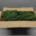 2 PCS 9ft Artificial Christmas Garland, Real Touch Norfolk Pine Garland - Pine Garland, Greenery Christmas Garland for Mantle, Table, Fireplace, Indoor, Outdoor Christmas Decorations