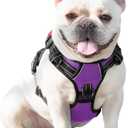 PHOEPET No Pull Dog Harnesses for Small Dogs Reflective Adjustable Front Clip Vest with Handle 2 Metal Rings 3 Buckles [Easy to Put on & Take Off](XS, Purple)