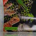 Exo Terra Faunarium, Plastic Reptile Terrarium, Small, PT2255 (Pack of 2)