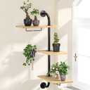 DELLAN Window Plant Shelves, Rotating Plant Shelf for Window, Wall Mounted Indoor Hanging Plants Shelf (3 Tier) (Wood)