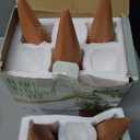 Develoo 6PCS Plant Watering Stakes-Terracotta Self Watering Spikes Home Vacation Plant Waterer Self Irrigation Watering System for Indoor Outdoor Garden House Plants