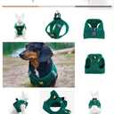 EcoBark Dog Harness - Teacup Dog Harnesses for Dogs - Step in Soft Mini Body Halter - Puppy Harness- Toy Breed Dog Harness Vest Under 5 pounds lbs (XXXS, Forest Green)