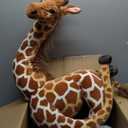 Jehlani The Giraffe - 18 Inch Stuffed Animal Plush