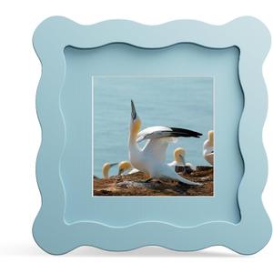 4x4 Picture Frame with Mat for 3x3, Wavy Edge Wooden Real Glass Photo Frame for Tabletop and Wall Hanging, Blue, 1 Pack