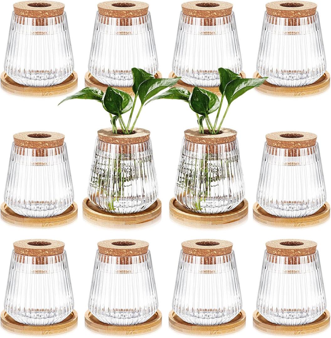 Baderke 12 Packs Propagation Vases for Plants Plastic Plant Propagation with Hole Lid and Bamboo Stand Growing in Water Hydroponic Home Office Desktop Vase Decoration