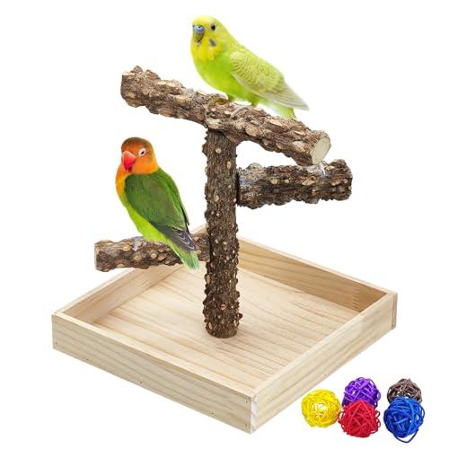 BNOSDM Portable Bird Perch Stand with Potty Tray, Natural Wood Tabletop Training Gym Parrot Playground Toy for Budgies, Cockatiels, Lovebirds,Conures Canaries