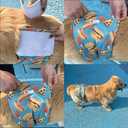 Male Dog Diapers Reusable High Absorbing Male Dog Wraps Washable Dog Diapers Male Small with Cute Patterns 5packs (S, 9 - 11 Waist)
