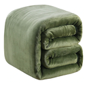 Fleece Blanket Queen Size 350GSM Lightweight Throw for The Bed Extra Soft Brush Fabric Super Warm Sofa Blanket 90" x 90"(Green Queen)