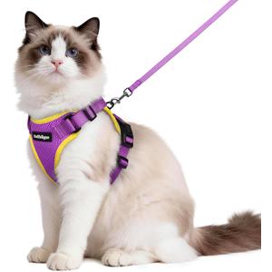rabbitgoo Escape Proof Cat Harness and Leash Set, M, Purple & Yellow | 4-point Adjustable, Quick-snap Buckles, Soft Breathable Mesh, Reflective Strips, Sturdy Clip, for Medium to Large Cats