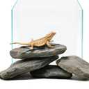Aquarium Rocks 5lb Natural Stream Stone 3-4pcs Slate Stones for Aquascape, Fish Tank Decorations, Reptile & Turtle Habitat Basking Rock(2-7 Inches)