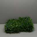 10x10Inch 12Pcs Grass Wall Panels, UV-Anti Boxwood Greenery Hedge, Odorless Artificial Fake Grass Backdrop Indoor Outdoor Privacy, Birthday Wedding Decor, 8.3 SQ FT, Lavender