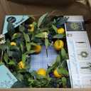 Valery Madelyn Summer Artificial Lemon Wreaths for Front Door with Lights, Spring Summer Door Wreath with Eucalyptus Greenery Leaves Blueberry for Farmhouse Fall Home Kitchen Party Wall Decor-14''