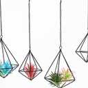 Geometric Air Plant Hangers - 4 Pack Black Metal Tillandsia Display Cages, Hanging Air Plant Holders for Indoor Plants Decor, Air Fern Frame