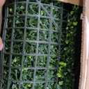 ODTORY Artificial Boxwood Roll Panels:40 X 120 in(33.5 sqft) UV-Anti Artificial Ivy Privacy Fence Wall Screen for Indoor Outdoor Green Grass Wall Decor & Ivy Fence Covering Privacy