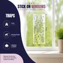 30-Pack Window Fly Traps for Indoor Use, Clear Sticky Strips for Windows, Transparent Fly Catcher for Home, Strong Adhesive Fly Trap for Houseflies and Ladybugs
