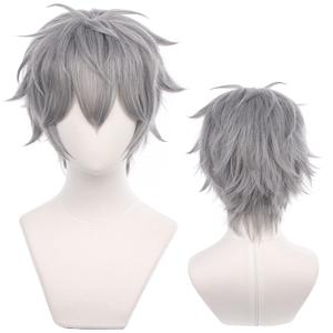 Grey Cosplay Wig for Anime with Short Straight Heat Resistant Fiber Synthetic for Halloween, Comic Con, Cosplay Show Wigs (Gray)