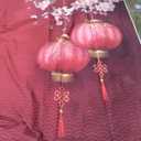 Renaiss 10x10ft Chinese New Year Backdrop Red Lantern Cherry Flower Blooming Chinese Spring Festival Traditional Photography Background New Year Eve's Party Decor Banner Photo Booth Studio Props