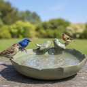Large Ceramic Bird Bath Bowl Only, 10" Shallow Ground Bird Bath, Handmade Ceramic Birdbath Bowl for Outdoors, Wildlife Water Bowl for Outside, Garden, Tabletop, Balcony and Lawn