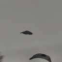 PELONIS 20 Inch Box Fan  3 Speeds, Window Fans, Floor or Tabletop, 25ft/s, 2025 Upgraded, Superior Air Throw (2295 CFM), Lightweight, 5 Blades, Fans for Bedroom, Office, Living Room, Garage (Black)