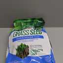 Scotts Turf Builder Grass Seed Sun and Shade Mix  Grass Seed Plus Lawn Fertilizer and Soil Improver, Covers Up to 2,240 sq. ft., 5.6 lb.