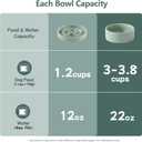Havniva Ceramic 1.2 Cup Raised Slow Feeder Dog Bowl Set, Elevated 6.1inch Bowl and 7.3inch Puzzle Slow Food Dish with Wooden Stand for Medium and Small Dog, Anti-Gulping (2 x Light Green+ Stand)