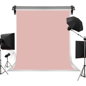 Kate 6ftX9ft Solid Light Pink Backdrop Portrait Photography Background for Photography Studio Children and Headshots Light Pink Backdrop Background
