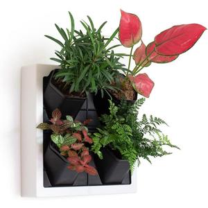 Self Watering Wall Planter with 4 Pots - Easy to Create Indoor Living Wall for Home, Office and Shop Front - Includes Water Gauge (White)
