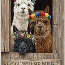 Romantic Farmhouse Wall Decor Metal Tin Sign - Wool You Be Mine Llama Art - Cute Alpaca Gift for Valentines Day, Wedding, or Bedroom Decoration 8x12 inch (20X30cm(12x8in))