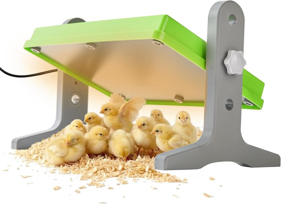 Fuzzy Bird Chick Brooder (12''*8'') Brooder Heater for Chicks Ducks and Birds Incubation Heating Keep Chicks Warm Newly Upgraded Temperature Adjustable Height Adjustable Chick Heating Plate - Green