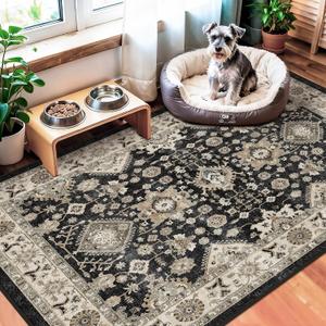 TOPRUUG Washable Black Entry Rug: 3x4 Rugs for Kitchen Entryway Bathroom Non-Slip Ultra-Thin Door Mat Indoor Entrance Stain Resistant Small Throw Carpet (Black, 3X4)