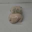 Pack of 3 Calming Blankets Fluffy Premium Fleece Pet Blanket Soft Sherpa Throw for Dog Puppy Cat Beige Small (23" x16'')