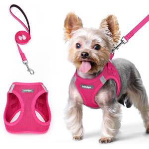 rabbitgoo Dog Harness Small Sized and Leash Set, Step in Soft Light Puppy Vest, Breathable Mesh Pet Harness, Reflective for Safe Easy Walking, Rose Red XS (XS (Chest: 13.3 - 15.5"))