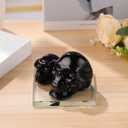 Halloween Decorations Gifts - 2pcs Black Crystal Skull Head Statue, 3.9 x 3 Inch Large & Small Party Carved Souvenir, Indoor Scary Home Decor Skull Head Props