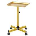 Salon Tray on Wheels, Gold Salon Tray Cart with Adjustable Height, Metal Service Instrument Storage Tray for Salon & Home Use