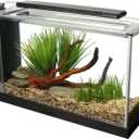 Fluval SPEC Aquarium Kit, Aquarium with LED Lighting and 3-Stage Filtration System, 5-Gallon