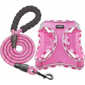 haapaw Dog Harness with Leash Set, No Pull Adjustable Reflective Step-in Puppy Harness with Thickened Padded Vest for Extra-Small/Small Medium Dogs (Pink)
