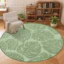 Arenarug Sage Green Monstera 6x6 Round Area Rugs High-Low Plush Pile
Soft Washable Non Slip Tropical Indoor Shag Carpet Rug for Living Room Dining Room Nursery Bedroom