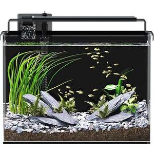 5 Gallon Fish Tank Aquarium Starter Kit with Filter Light Lid Rimless GlassBlack Background, Ultra Clear Low-iron Glass, Timer Light, 5 Brightness, Adjustable Water Flow, for Betta Shrimp Guppy Snails