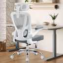Ergonomic Office Chair, Mesh Office Desk Chair, Grey, 1 Pack