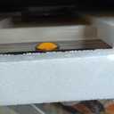 Nest IV - 56 Egg Incubator for Breeders, Fully Automated, Accurate Humidity & Temp Control, Chick Separator, Flexible Egg Spacing, Custom Incubation Days, Auto Turning & Auto Stop, Easy Monitoring